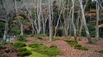 galerie-arashiyama-07