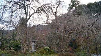 galerie-arashiyama-19