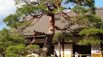 galerie-arashiyama-21