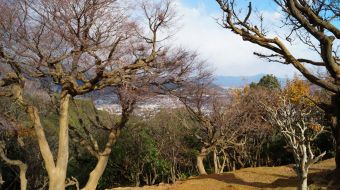 galerie-arashiyama-29