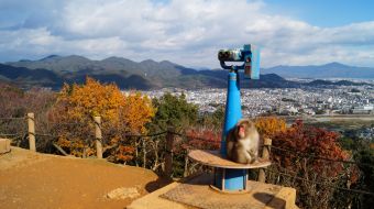 galerie-arashiyama-33