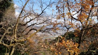 galerie-arashiyama-36
