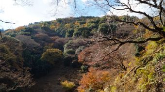 galerie-arashiyama-37