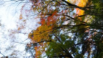 gallery-minoo-park-03