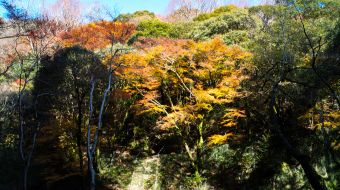 gallery-minoo-park-04