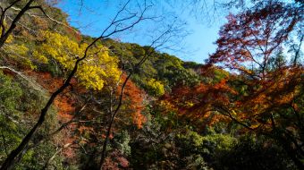 gallery-minoo-park-06