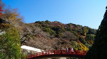 gallery-minoo-park-08