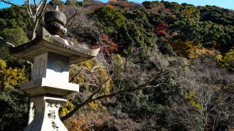 gallery-minoo-park-10