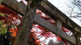 gallery-minoo-park-11