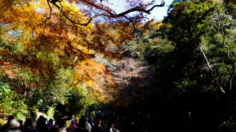 gallery-minoo-park-14