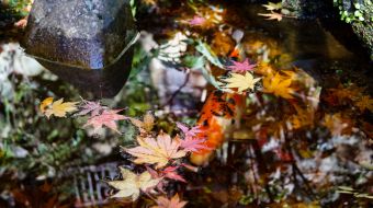 gallery-minoo-park-17