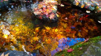 gallery-minoo-park-20