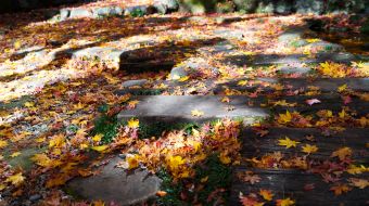 gallery-minoo-park-21