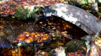 gallery-minoo-park-22