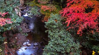 gallery-minoo-park-24