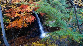 gallery-minoo-park-25