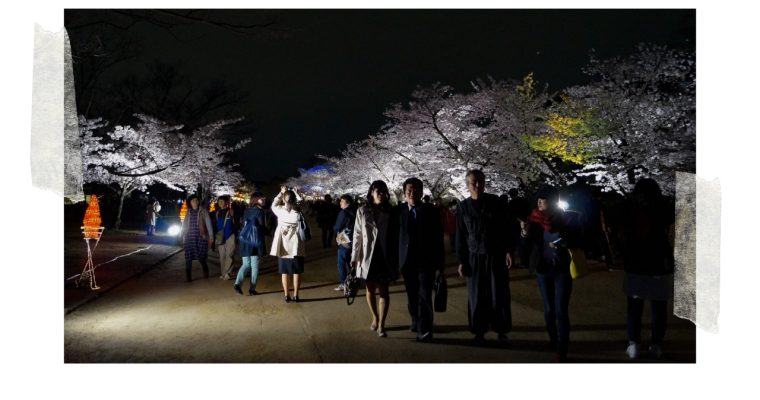 <h1>ÔSAKA – Les illuminations de sakura au Château d’Ôsaka</h1>