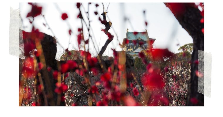 <h1>ÔSAKA – La floraison des ume au château d’Ôsaka, un avant-goût des sakura</h1>